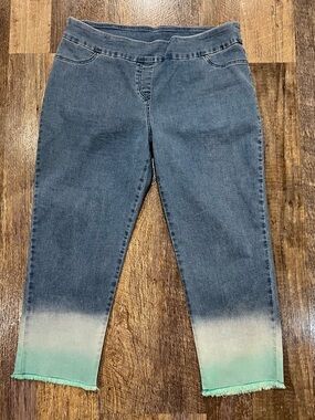 Thin Her Ankle Crop Jeans with Ombré Mint-Dip Hem. Size 18